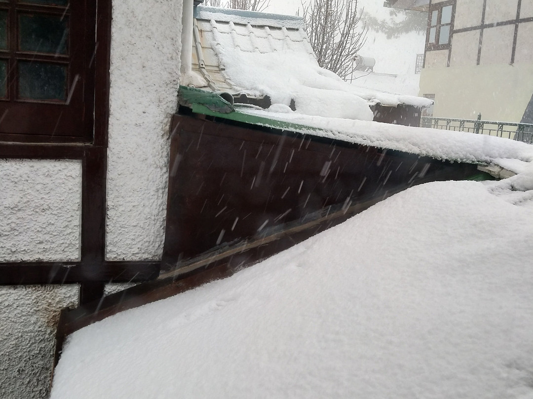 雪王修酒店主图