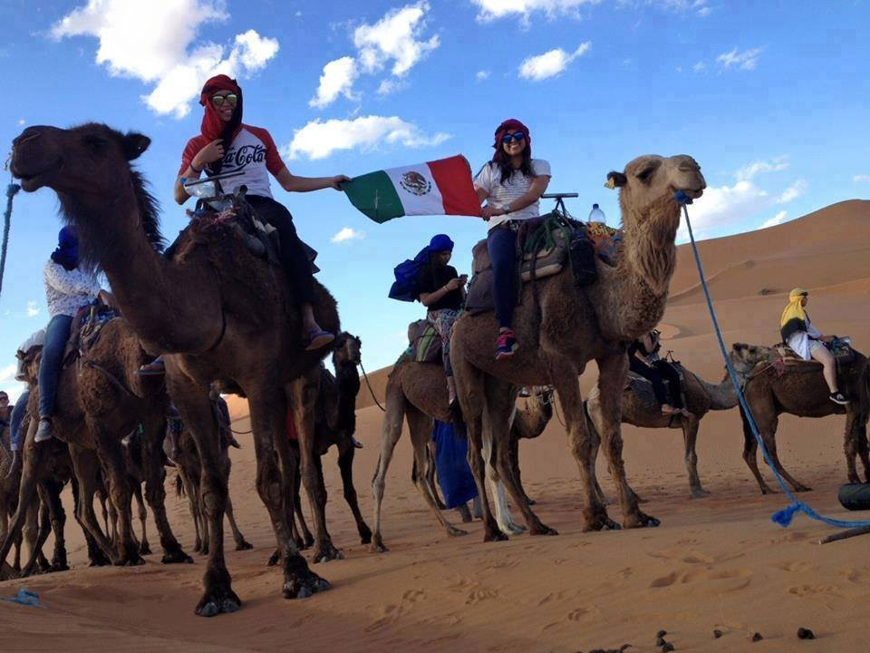 Visitando Marruecos-丹吉尔必去景点