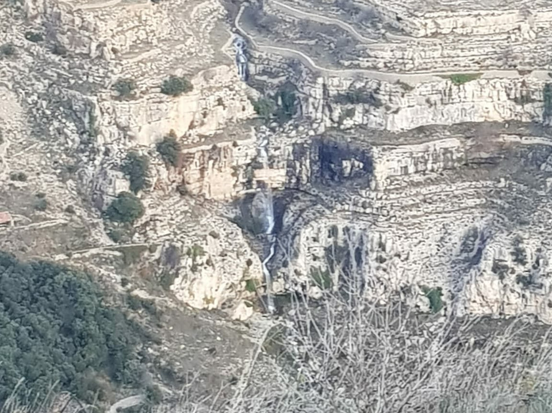 Museo de la Cueva del Castillo景点图片