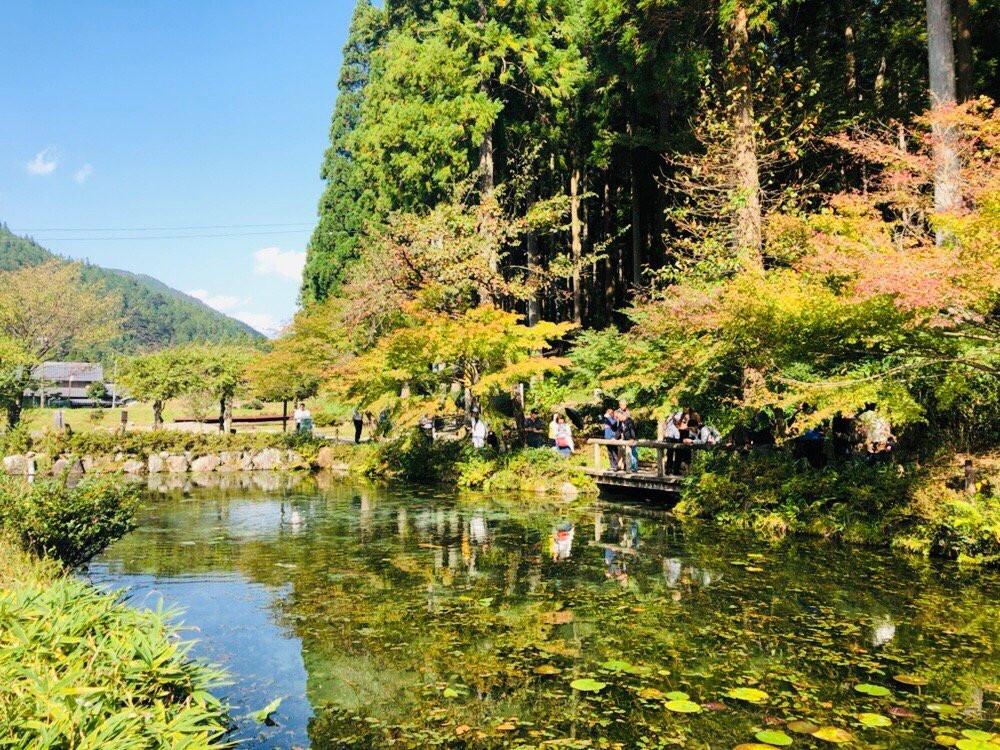 Nemichi Shrine-关市必去景点