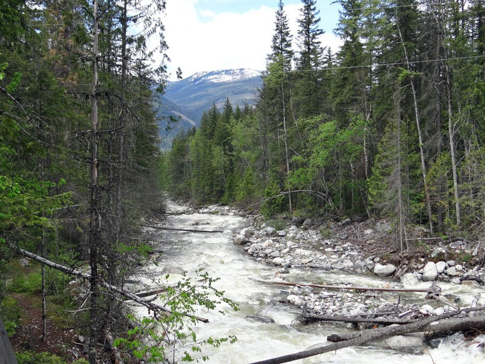 Yard Creek Provincial Park-Malakwa必去景点