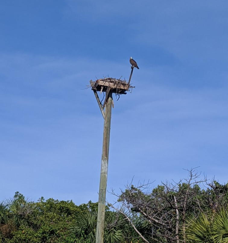 Barefoot Beach Preserve County Park景点图片