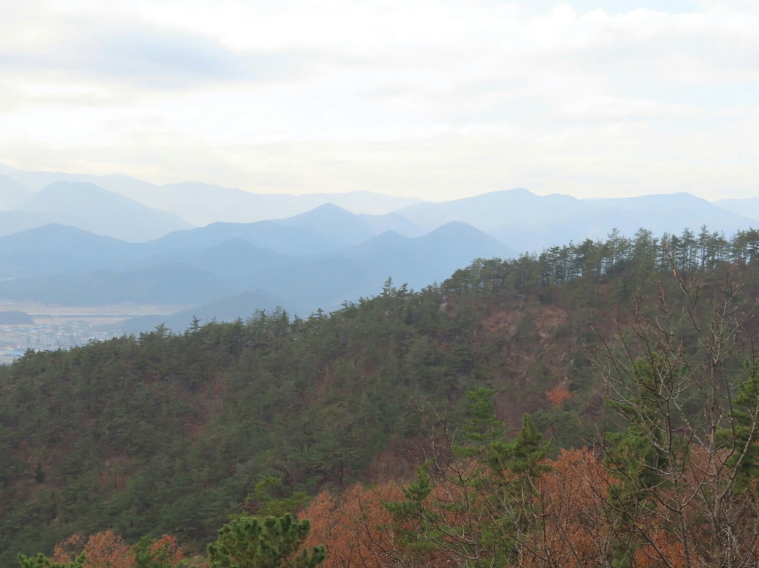 Gyeongju National Park景点图片