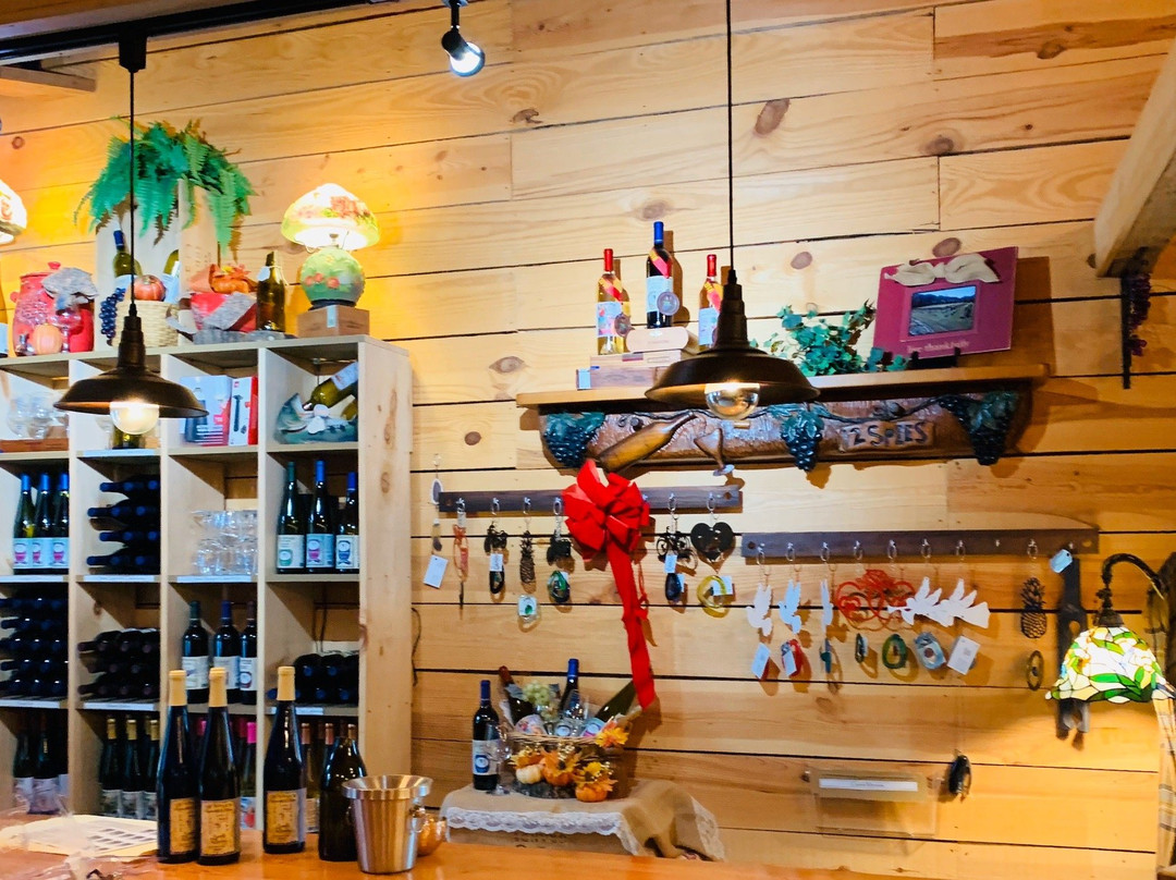 12 Spies Vineyards and Farm-Rabun Gap必去景点