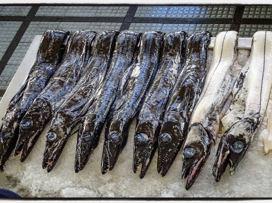 Wine Tours Madeira-沙尔必去景点