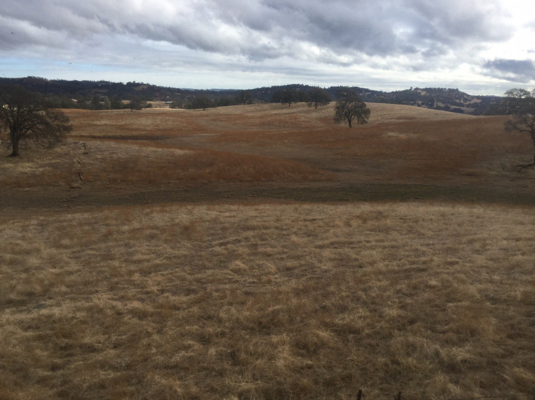 雪兰多阿酒店主图