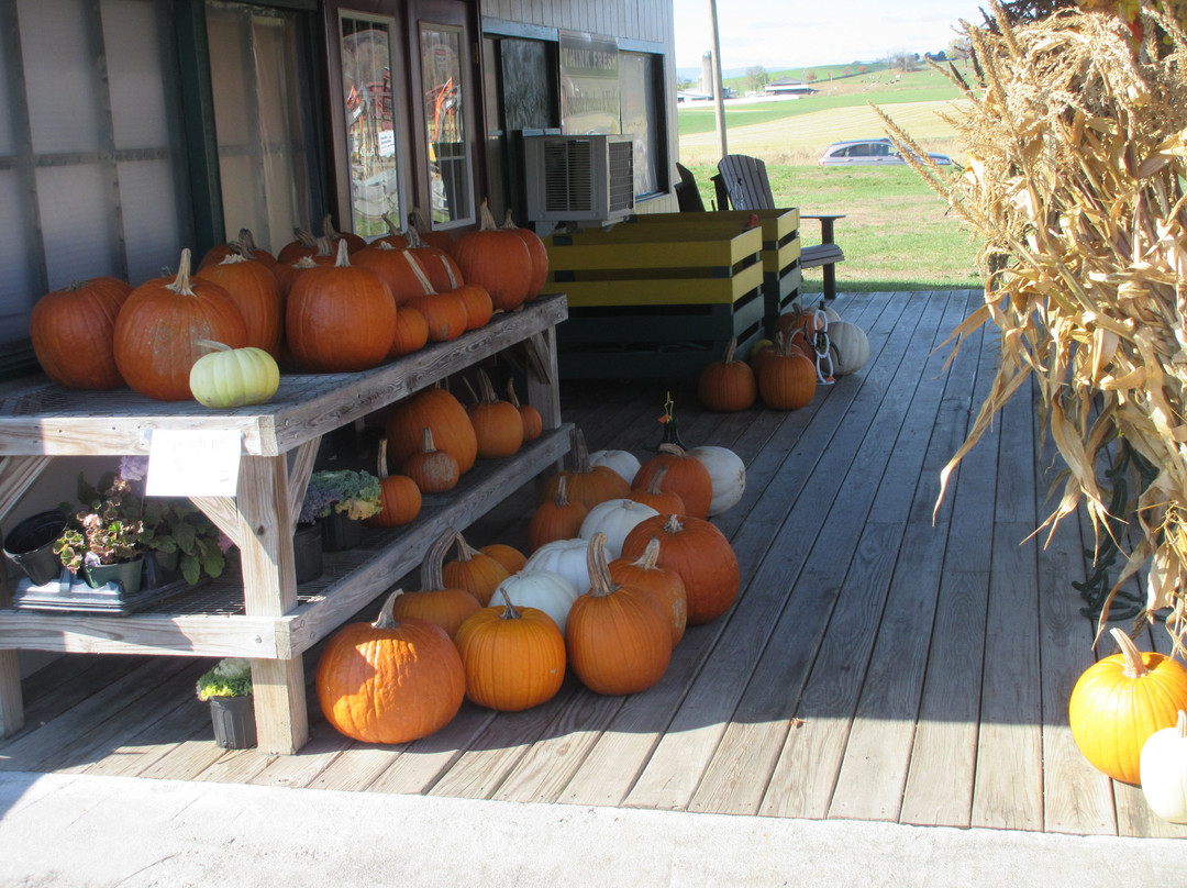 Shenandoah Heritage Market-哈里森堡必去景点