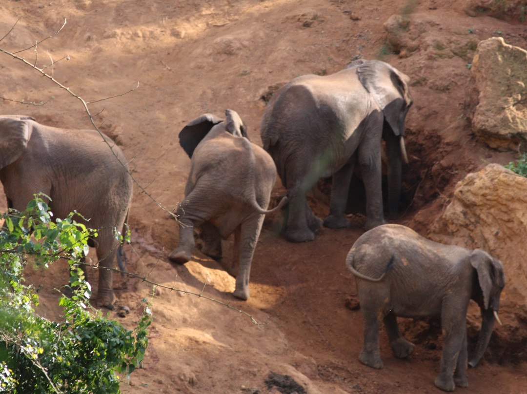 Elephant Caves-卡拉图必去景点