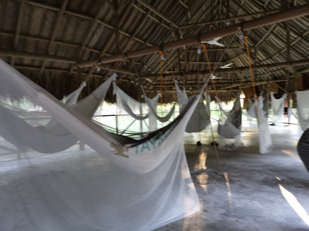 Cabañas Tequendama - Parque Tayrona主图