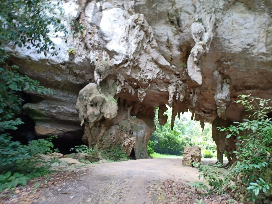 Kota Gelanggi Caves景点图片