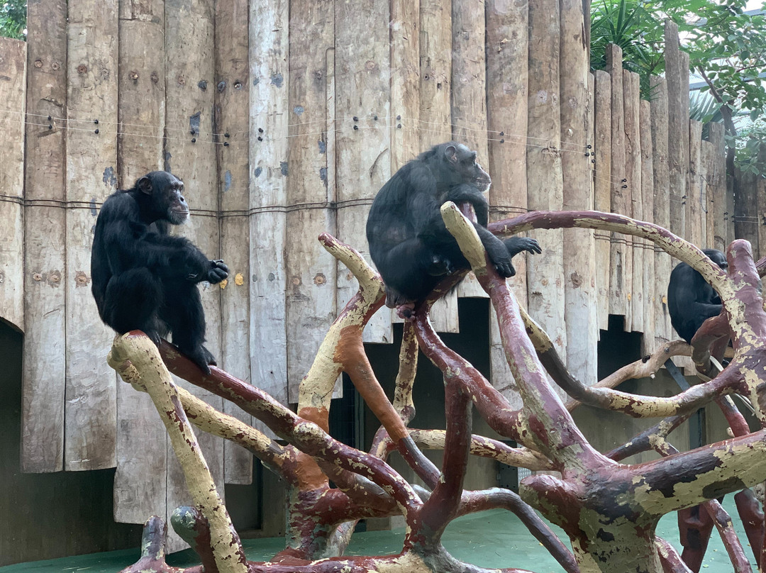 Krefeld Zoo景点图片