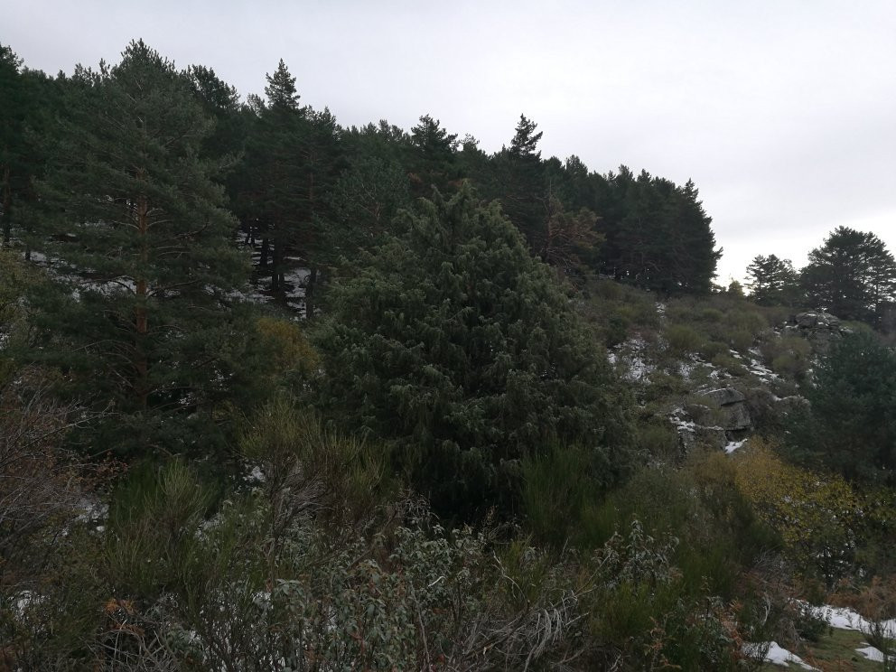 Ruta del Valle de la Barranca-Navacerrada必去景点