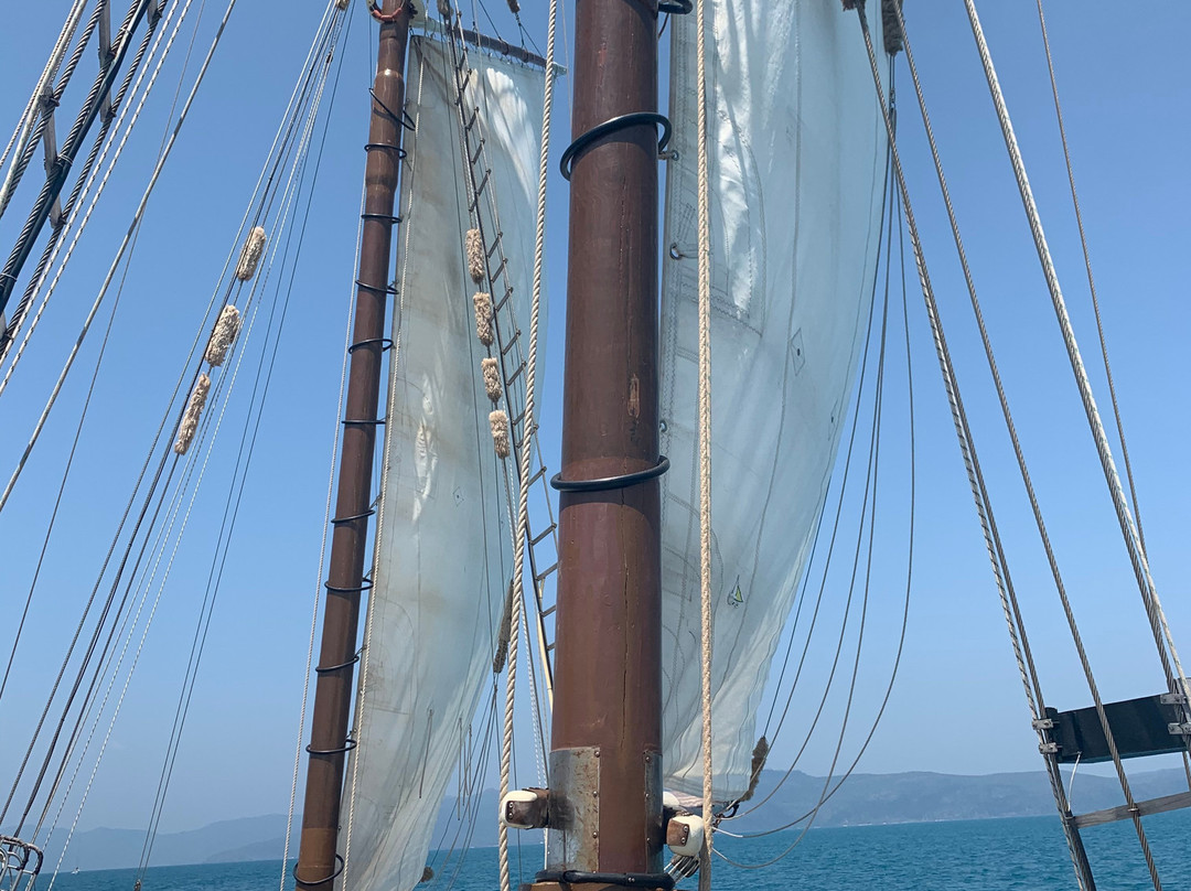 Tallship Adventures景点图片
