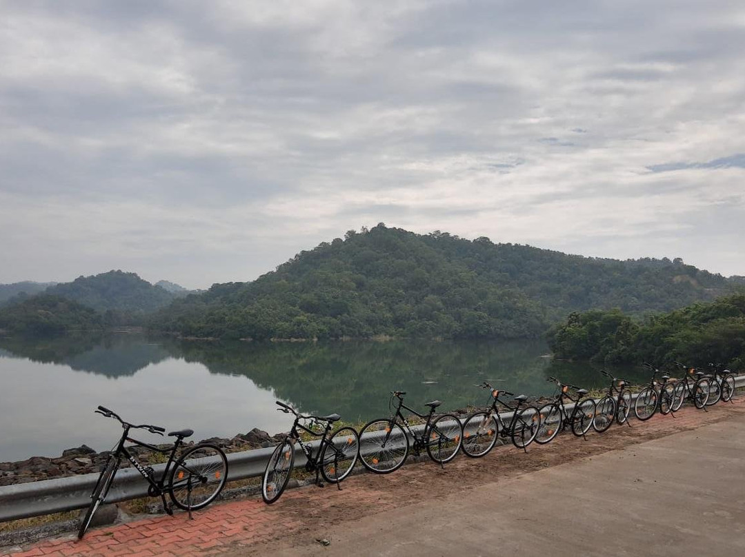 Cycle Tours at Statue of Unity景点图片