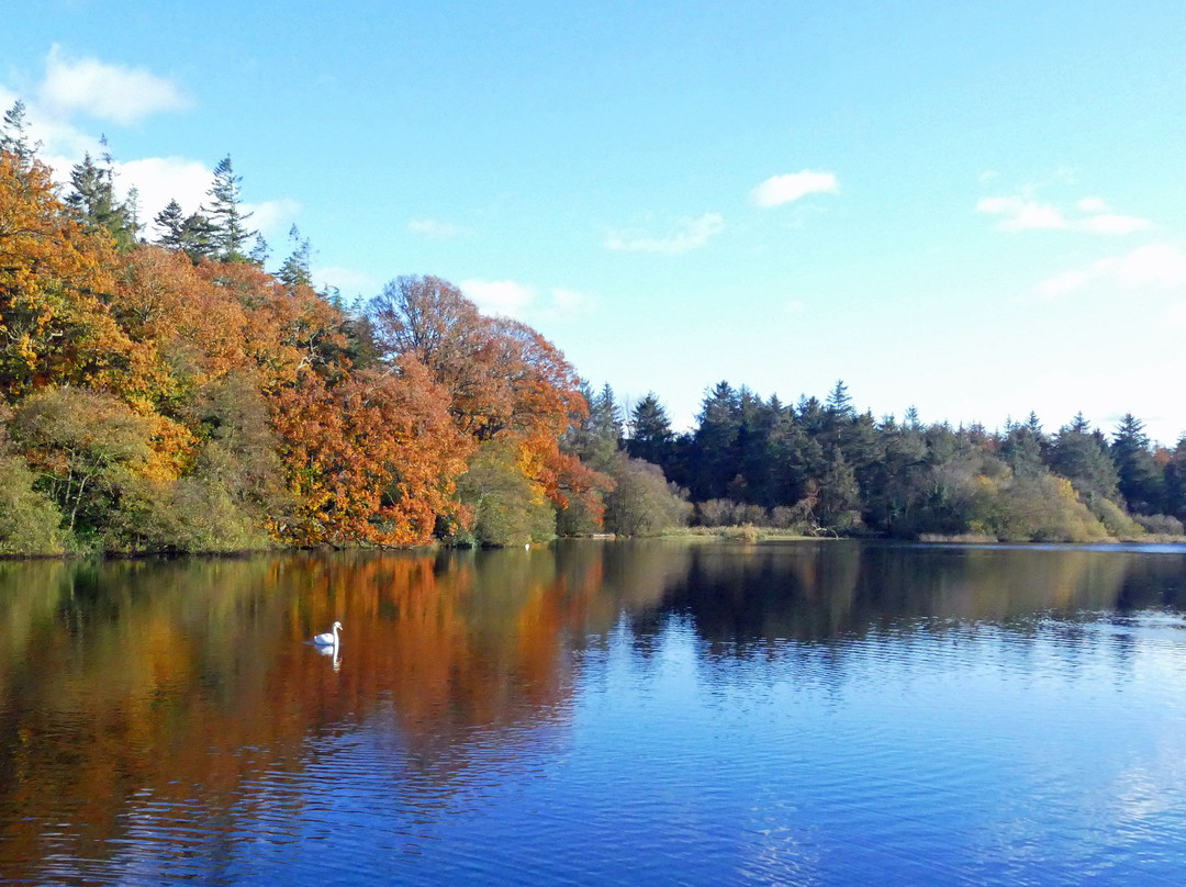 Hillsborough Forrest and Lake.景点图片