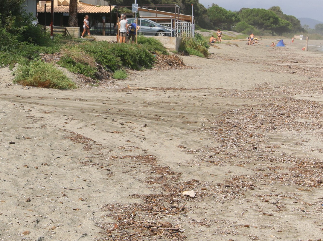 Plage de Prunete景点图片
