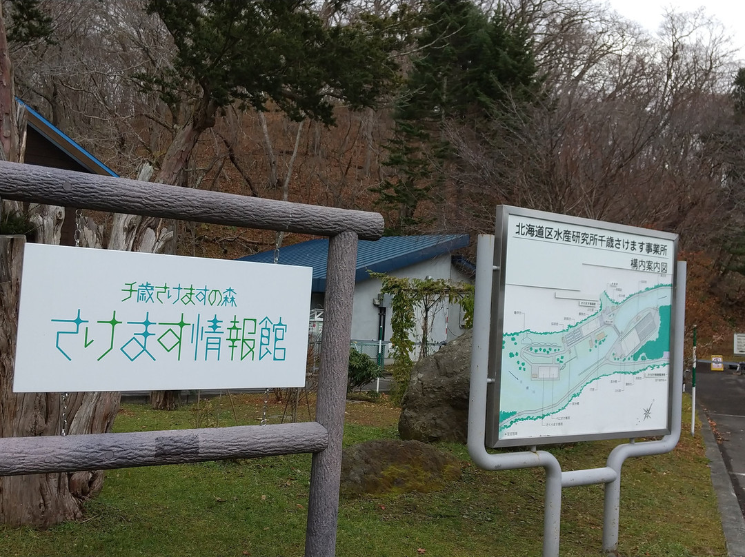 Chitose Sake Masu no Mori Sake Masu Johokan-千岁市必去景点
