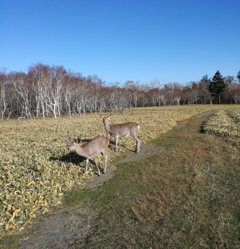 Cape Aikappu-厚岸町必去景点