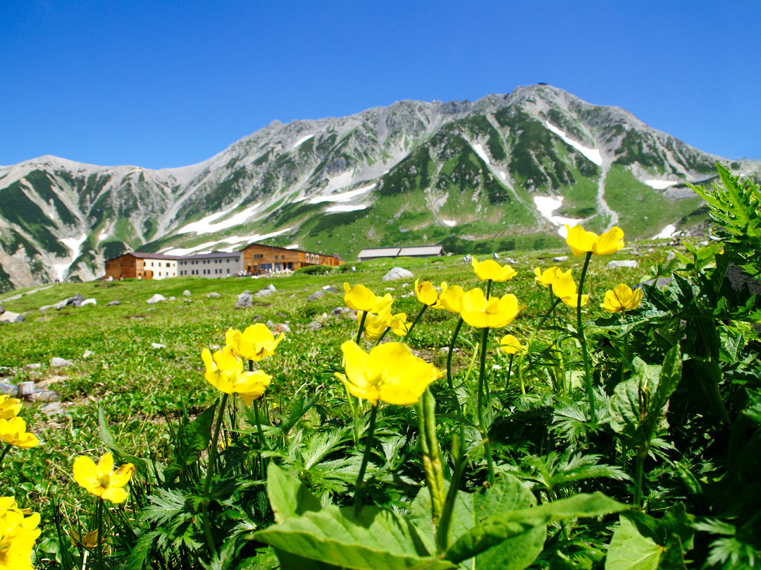 Mt. Tateyama-立山町必去景点