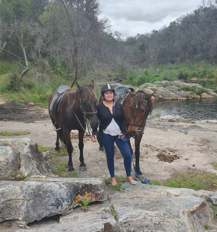 Garden Route Horse Trails-荒野必去景点