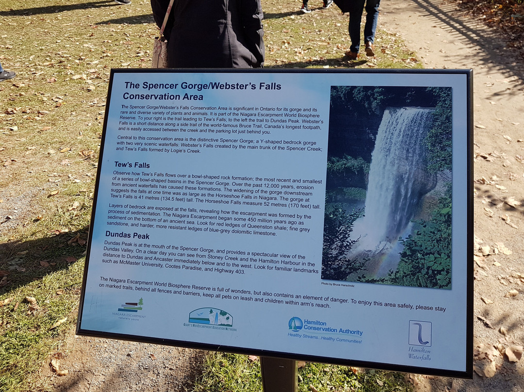 Tews Falls-邓达斯必去景点