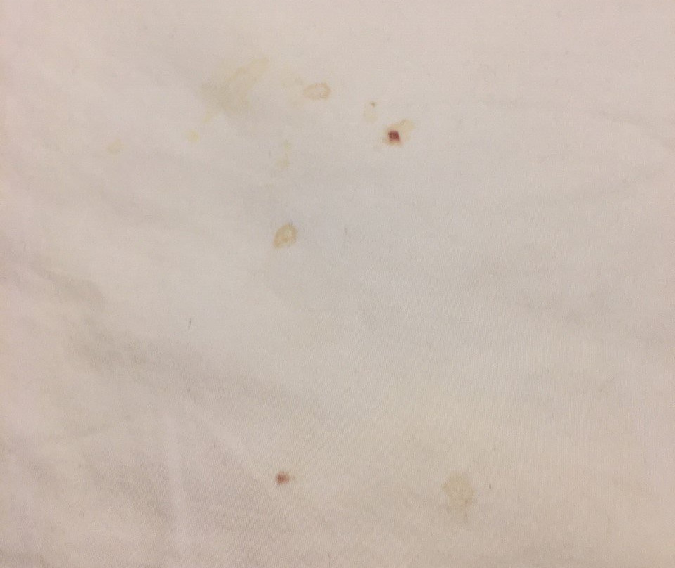 Howard Johnson by Wyndham Lenox主图