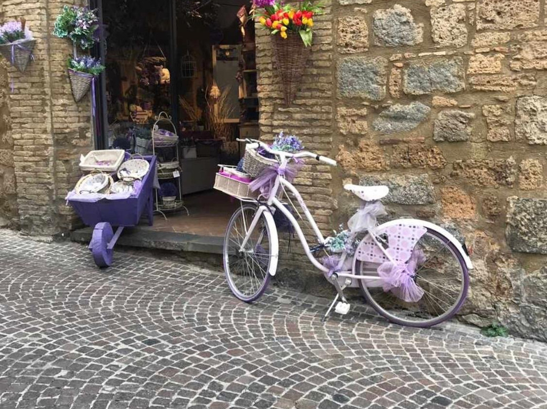 Lavanda del Lago景点图片