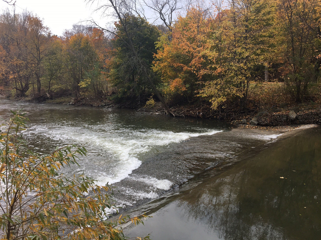 Etobicoke Valley Park-多伦多必去景点