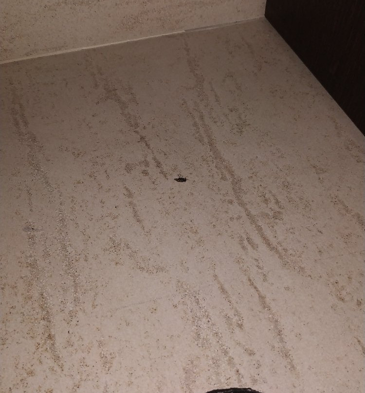 Hotel Letizià主图