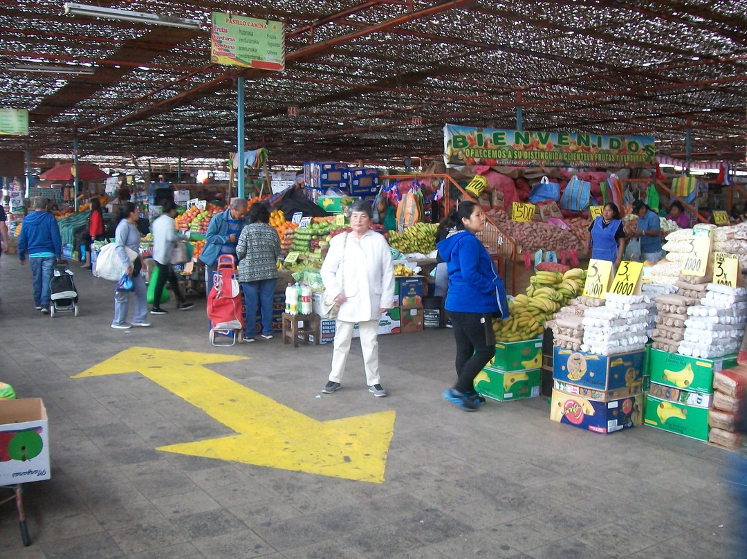 Terminal Agropecuario Arica景点图片