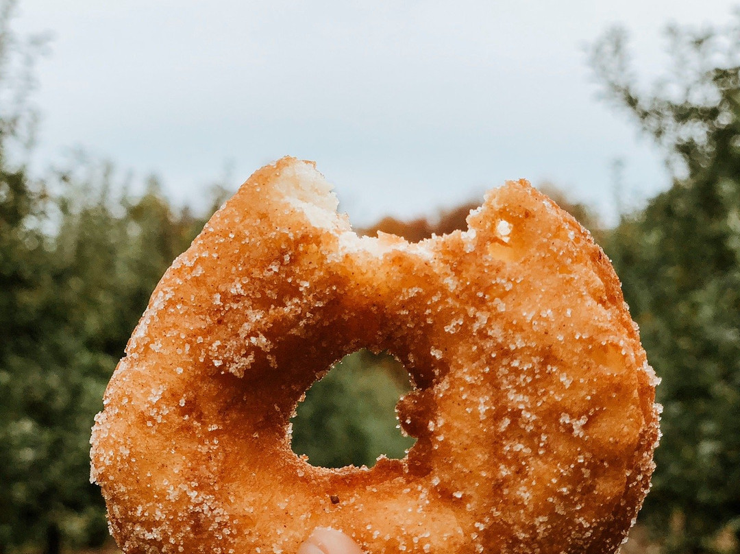 Terhune Orchards & Winery-Lawrence Township必去景点