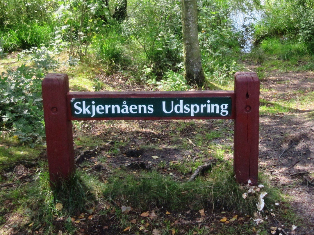 Skjernaens Udspring景点图片