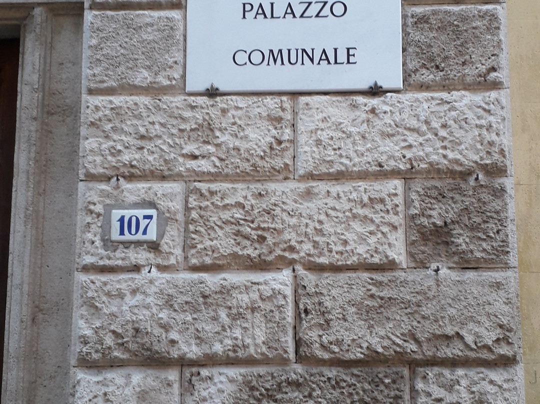 Palazzo Comunale景点图片