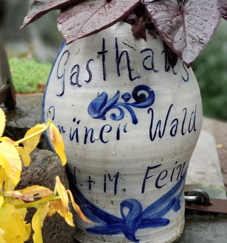 Hotel Gasthof Gruener Wald主图