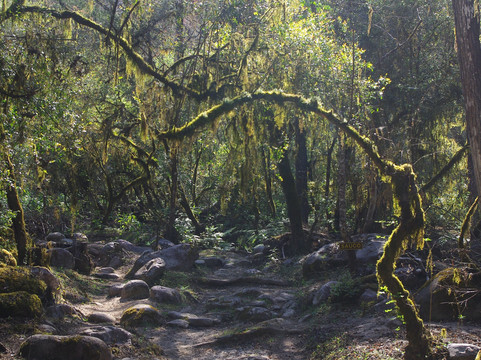 Reserva Nacional El Nogalar de Los Toldos-Los Toldos必去景点