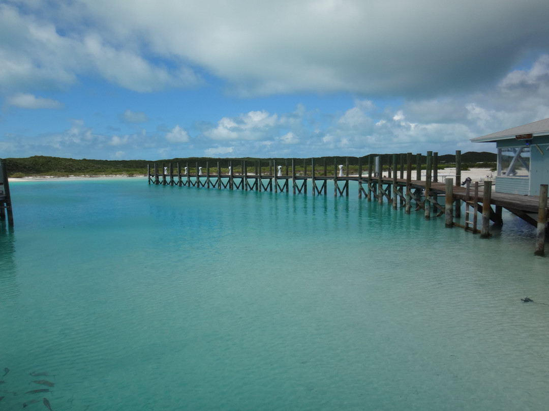 Compass Cay-外围小岛群必去景点