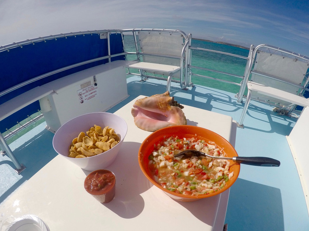 Ocean Vibes Scuba & Watersports-Grand Turk必去景点