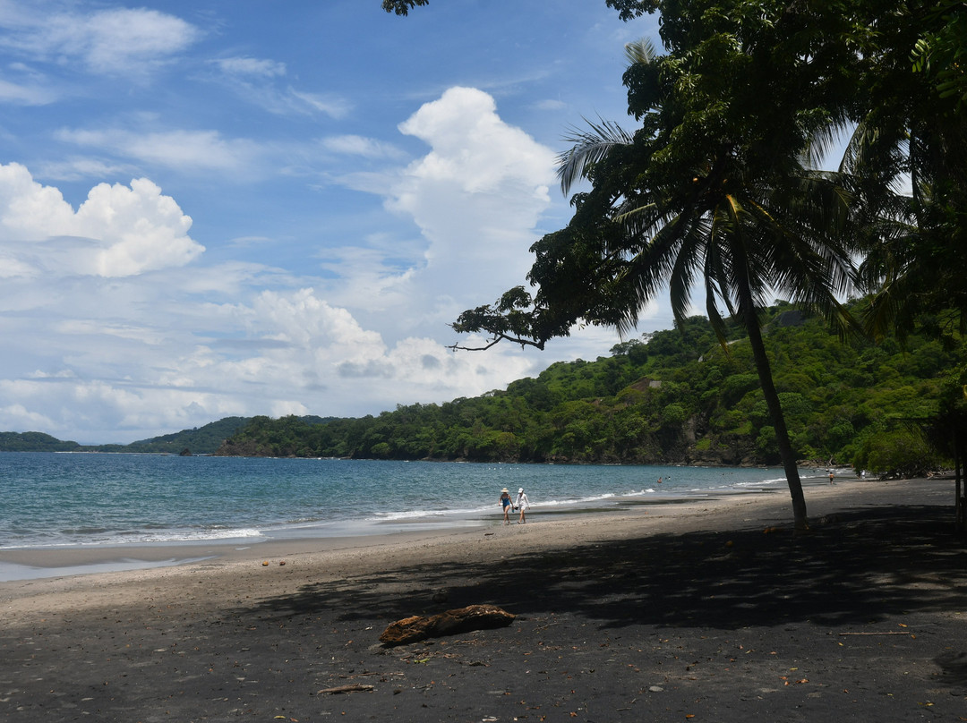 El Mangroove, Autograph Collection主图