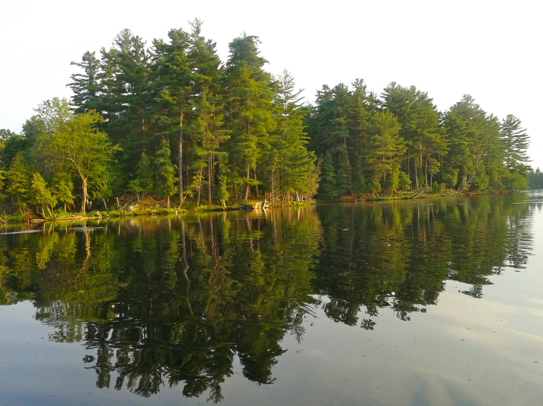 Murphys Point Provincial Park景点图片