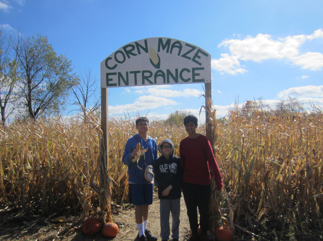 Reesor Farm Market-万锦市必去景点