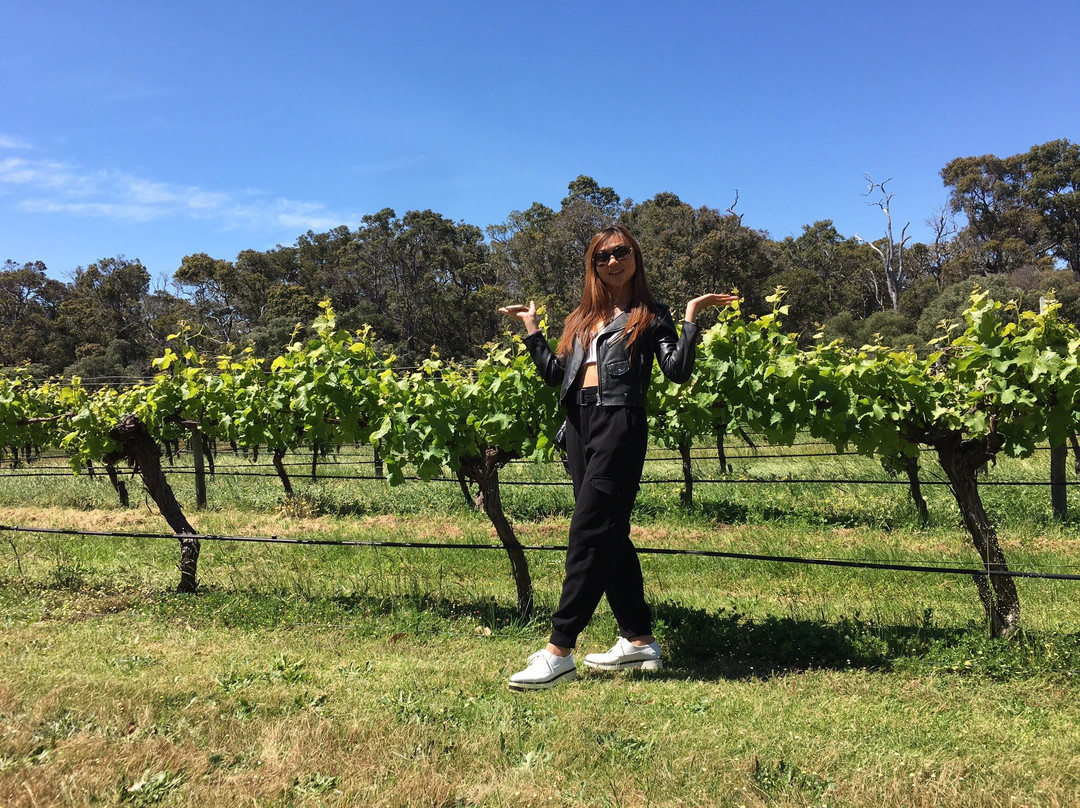 Margaret River Winemakers景点图片