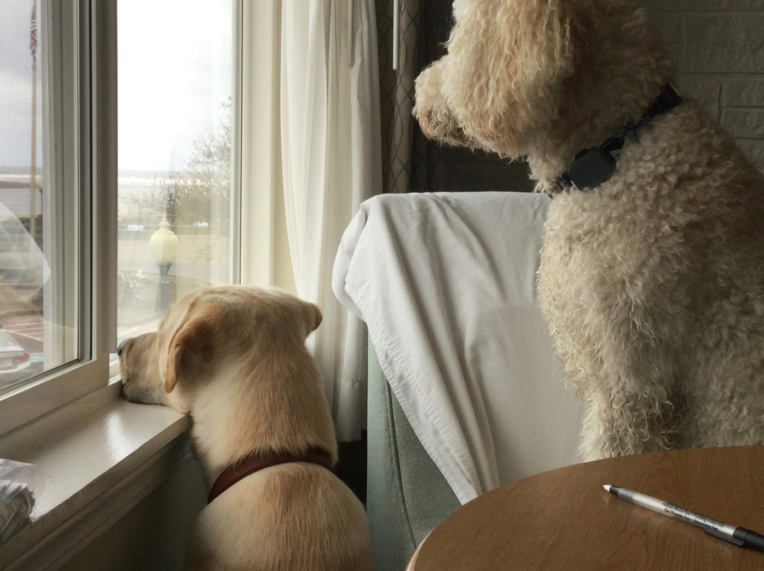 路肯恩格拉斯旅馆主图