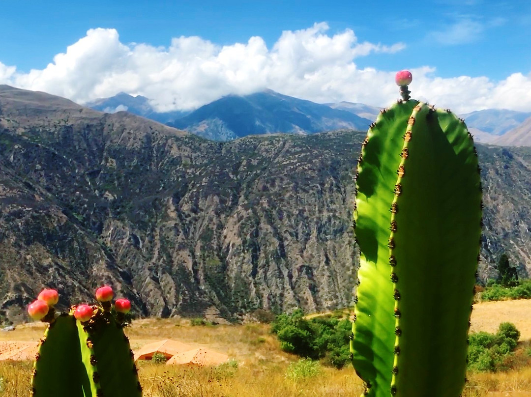 Alturuna Lodge主图