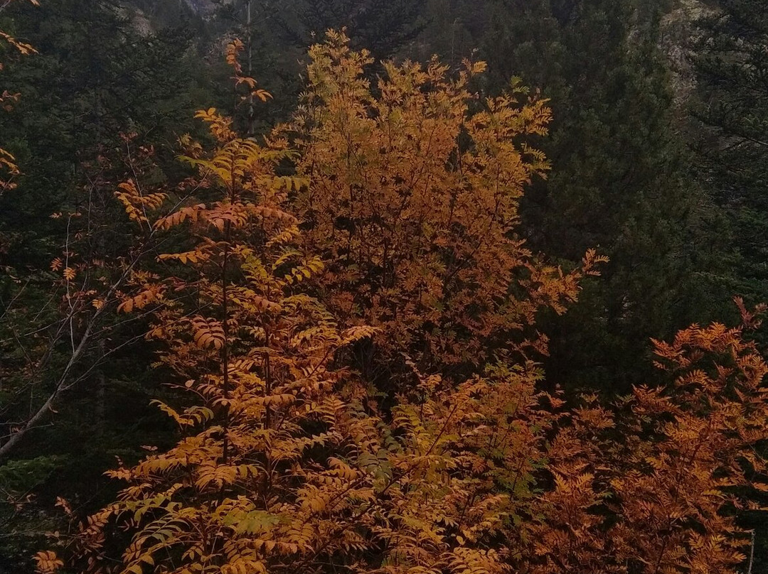 Comapedrosa Highlands Trail-阿林萨尔必去景点