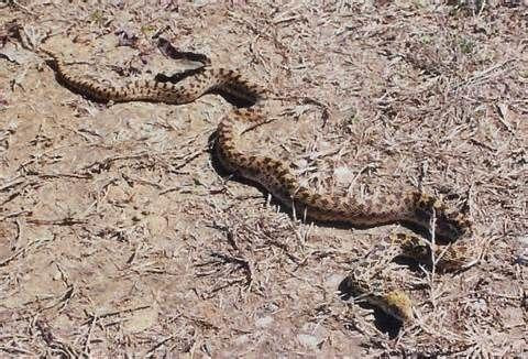 Comanche Nation Waterpark-劳顿必去景点