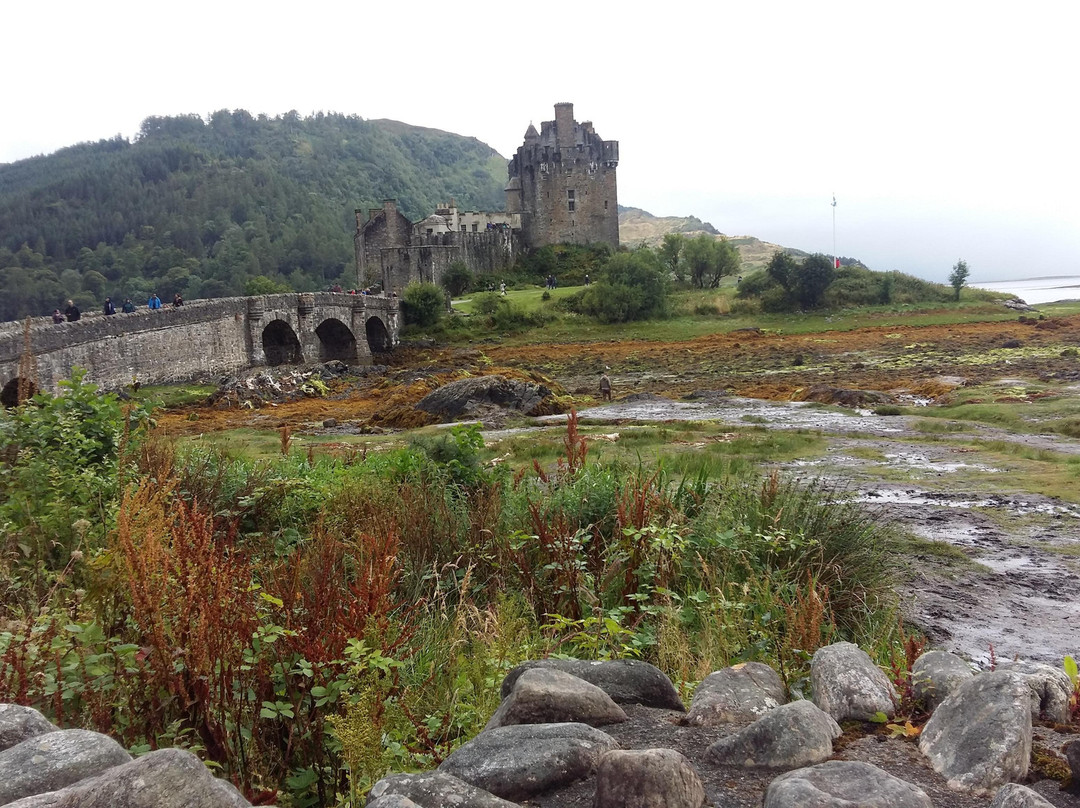 Historic and Scenic Tours Inverness景点图片