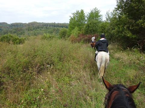 Gvozd旅游攻略图片