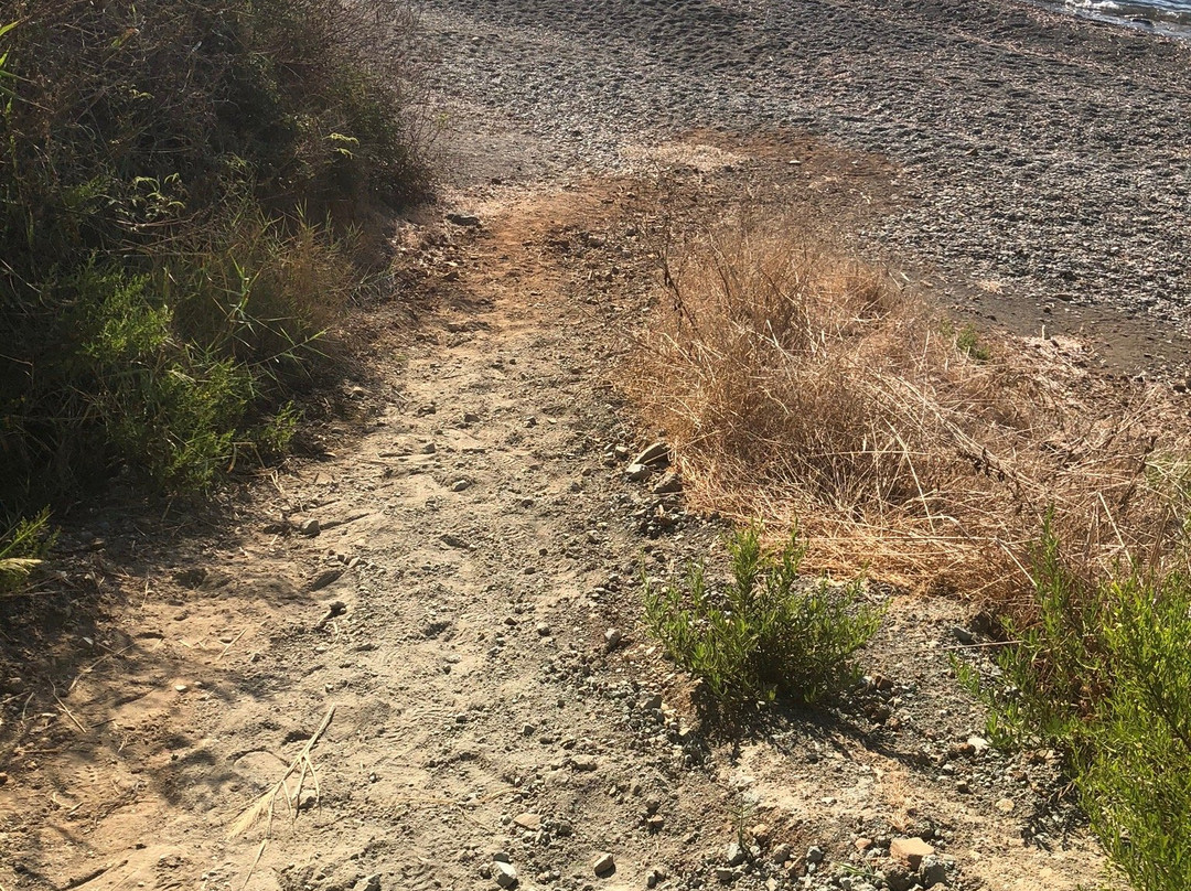 Paradise Beach-Pomos必去景点
