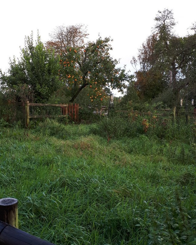 Home Barn and The Granary主图