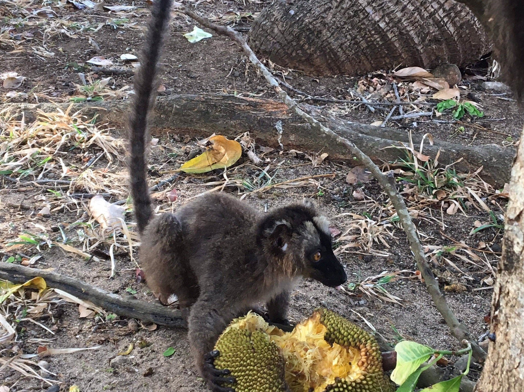 Le Jardin Maore-Kanikeli必去景点